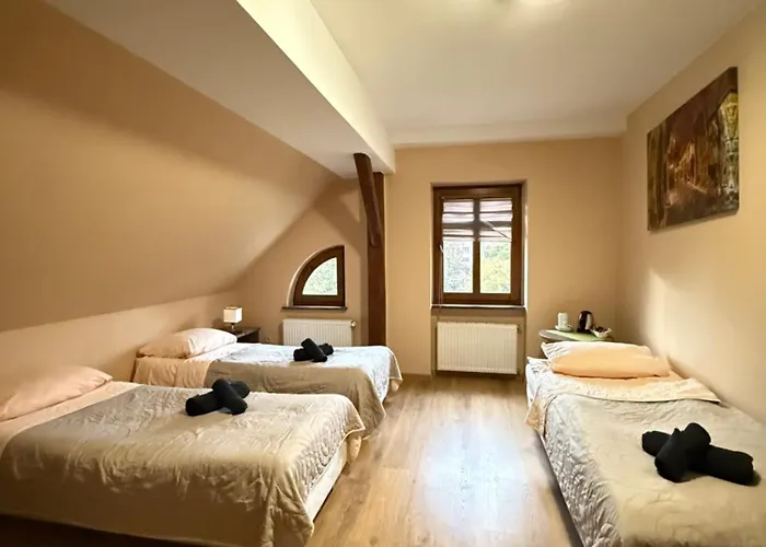 Cameleon Hotel Wolow (Wolow)